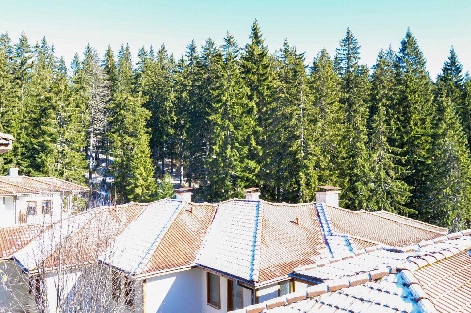 Myplace Pamporovo Апартаменти За Отдих Exterior photo
